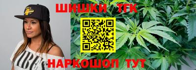 индика Заводоуковск