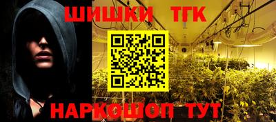 индика Заводоуковск