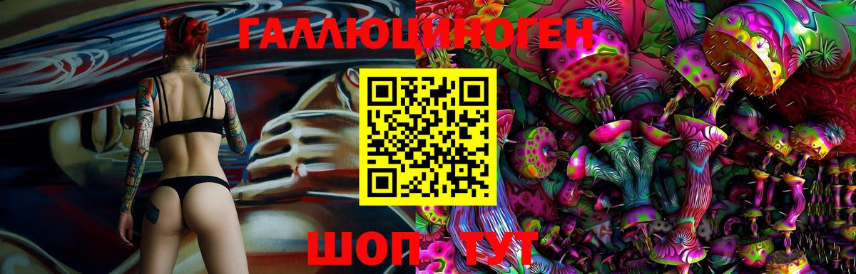 Галлюциногенные грибы MAGIC MUSHROOMS  Вход с VPN  Курган 