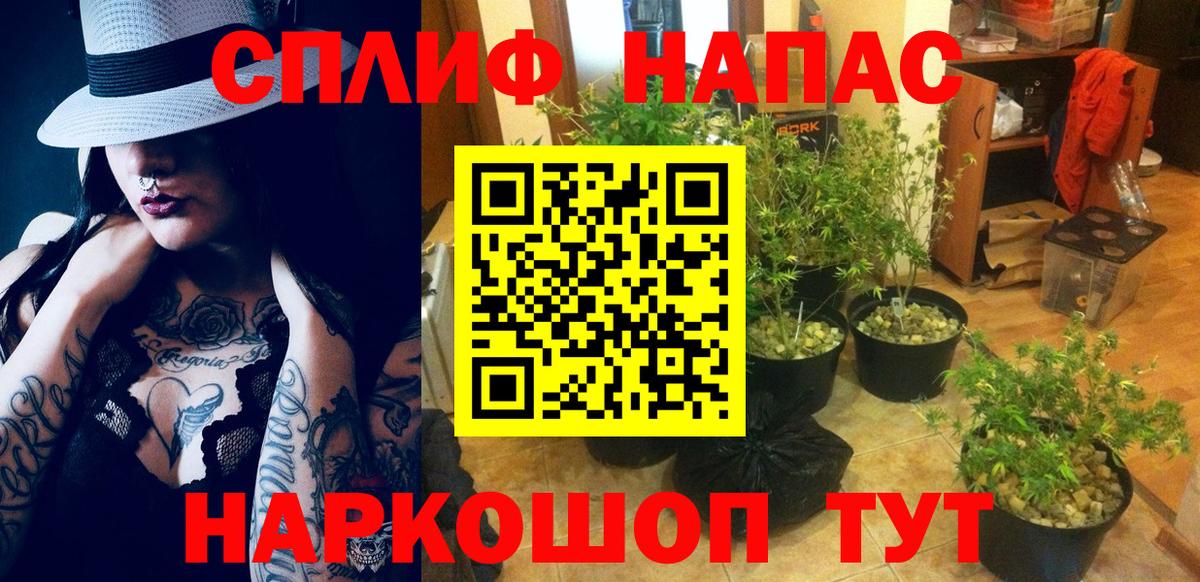 Конопля MAZAR  Бошки марихуана ГИДРОПОН  Шишки марихуана SATIVA & INDICA  Конопля OG Kush  Вход с VPN  Курган 
